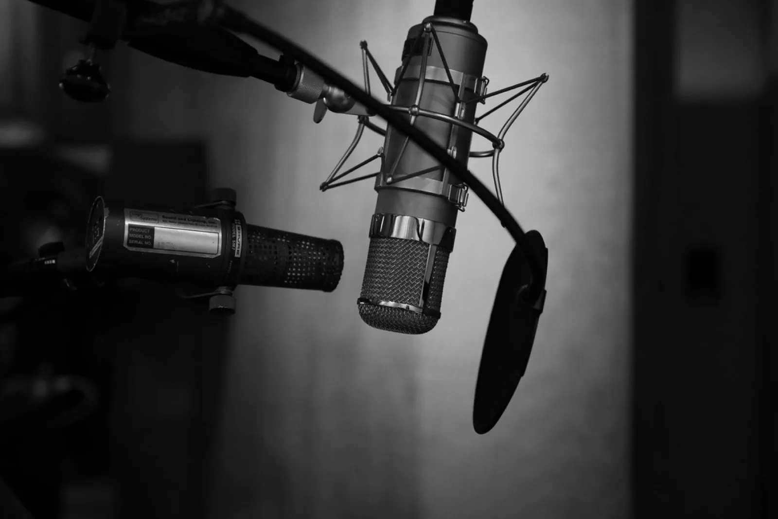 Dynamic microphone recording studio